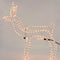 3D Rendier lichtslang - 216 lampjes - Decorative Lighting