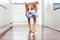 Animal Boulevard Df-ko-gy-ns - Speelgoed Voor Dieren - Hond - Rd Durables Koala Blauw- 20,0cm
