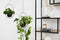Lifa Living Moderne Plantenhangers - Set van 2 - Zwarte Plantenhouders - Metalen Hangende Bloempot -