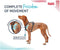 Company of animals harness anatomy halti green s