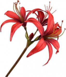 Silk-ka Kunstbloem-Zijden Bloem-Kunsttak Amaryllis Steel Rood 80 cm