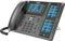 Fanvil X210 V2 - VoIP-telefoon - 20 regels LCD-scherm - Zwart