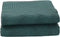 vidaXL - Tenttapijt - 6x3 - m - groen