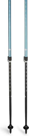 Black Diamond Trail Back Stokken Zilver 100-140 cm