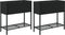 vidaXL - Plantenbakken - met - schap - 2 - st - 70x28x70 - poly - rattan - zwart