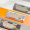 FREEWOLF M87 - Draadloos RGB Gaming Toetsenbord - BT5.0/2.4G - 87keys-Shimmer