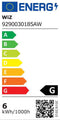 WiZ PS160 - Slimme LED Filamentlamp - Instelbaar wit licht - Amber