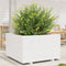 vidaXL - Plantenbak - 80x80x49,5 - cm - massief - grenenhout - wit