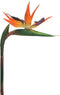 Kunstbloem Strelitzia deluxe 84 cm (real touch)