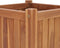 vidaXL - Plantenbak - verhoogd - 50x50x50 - cm - massief - teakhout