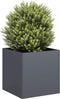 vidaXL - Plantenbak - 40x40x40 - cm - koudgewalst - staal - antracietkleurig