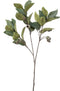 Emerald - Kunsttak Eucalyptus met vruchten 80cm groen - Kunstplanten voor binnen