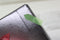 LEGO Icons - Kerstster Poinsettia - 10370 - 608 onderdelen