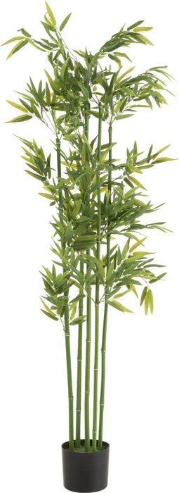 J-Line plant Bamboe In Pot - kunststof - groen - large
