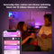 Philips Hue Go v2 - Draadloze Tafellamp - 50.000 wittinten 16 miljoen kleuren - Multi-color