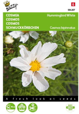 5 stuks Cosmos, Cosmea Hummingbird White