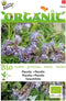 5 stuks - Buzzy - Organic Phacelia (BIO)