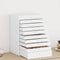 vidaXL - Sieradendoosje - 10-laags - met - horlogehouders - 29x20,5x40,5 - cm - wit