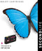SecondLife - HP 950/951 - Multipack inktcartridges - A-kwaliteit (2 stuks)