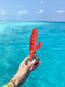 G-Vibe - G-Candy Mini - Chili Coral