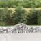 vidaXL - Schanskorven - 7 - st - gewelfd - 200x50x40/60 - cm - gegalvaniseerd - ijzer