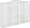 vidaXL - Schanskorven - 2 - st - gewelfd - 300x50x200/220 - cm - ijzer
