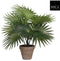 Mica Decorations Palm Kunstplant in Bloempot Stan - H40 x Ø35 cm - Groen