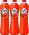 SPA FRUIT STILL STRAWBERRY-WATERMELON PET 40CL 6-PACK tray 24 stuks