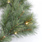 Black Box Trees Glendon - Guirlande met LED Verlichting - 50 lampjes - Groen - L1000 cm