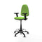Piqueras y Crespo B2D01RT - Bureaustoel - Hoogteverstelbaar met armleuning - Pistache