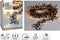 Maxi Cluster Kerstverlichting - 400 LED - 6m - extra warm wit - 8 lichtstanden - Timer - Geheugenfunctie - zwart snoer