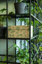 Dutch Design Brand - Dutch Design Storage Box - Opbergdoos - Opbergbox - Bewaardoos - Groene bladeren - Natural Leaves