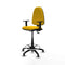 Piqueras y Crespo B1D01RT - Bureaustoel - Hoogteverstelbaar met armleuning - Geel
