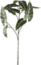PTMD Leaves Plant Olifantsoor Kunsttak - 46 x 38 x 97 cm - Groen