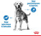 Royal Canin Light Weight Care Medium - Hondenvoer - 3 kg
