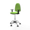 Piqueras y Crespo B1D05RN - Bureaustoel - Hoogteverstelbaar met armleuning - Pistache