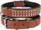 Handgemaakte Studded Hondenriem Leer Bruin/Zwart Small/Medium (Nekomvang 58-66 cm)