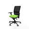 Piqueras y Crespo 3D036G0 - Bureaustoel - Verstelbare hoogte met armleuning - Pistache