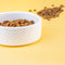 Nature's Variety - Original Sterilized Salmon Kattenvoer.
