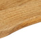 vidaXL - Tafelblad - met - natuurlijke - rand - 80x40x2,5 - cm - massief - mangohout