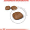 Royal Canin Urinary Care - Kattenvoer - 2 kg