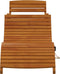 vidaXL - Ligstoelen - 2 - stuks - van - Massief - Acaciahout