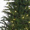 Black Box Trees Frasier Kunstkerstboom met LED verlichting - H305 cm - Groen