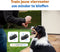 Anti Blafband – Zonder Schock – Blafband voor Honden – Anti Blaf apparaat – Trainingshalsband – Honden training – Ultrasoon – Kleine en Grote Honden – Waterdicht – LED verlichting - Oplaadbaar