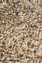 Brink en Campman - Rocks 70501 Vloerkleed - 250x350 - Rechthoek - Laagpolig,Structuur Tapijt - Modern - Meerkleurig