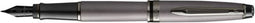 Waterman Expert vulpen | Metallic zilveren lak met rutheniumdetails | Fijne PVD-gecoate roestvrijstalen penpunt | Blauwe inkt | Met geschenkverpakking