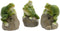 Decoratieve figuren Decoris met geluid Kikker (8 x 7,4 x 11,5 cm)