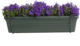 Campanula Addenda Lavender in ELHO ® Green Basics balkonbak (Bladgroen) met metalen balkonrek ↨ 30cm - hoge kwaliteit planten