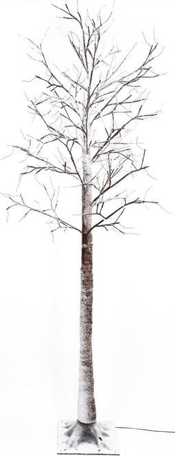 Anna's Collection - Led Birch Tree Brown With Snow 204L/200Cm Led C...