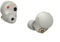 Sony WF-1000XM4 - In-ear oordopjes - Actieve Noise Cancelling IPX4 - Zilver